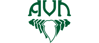 AVN Ayurveda
