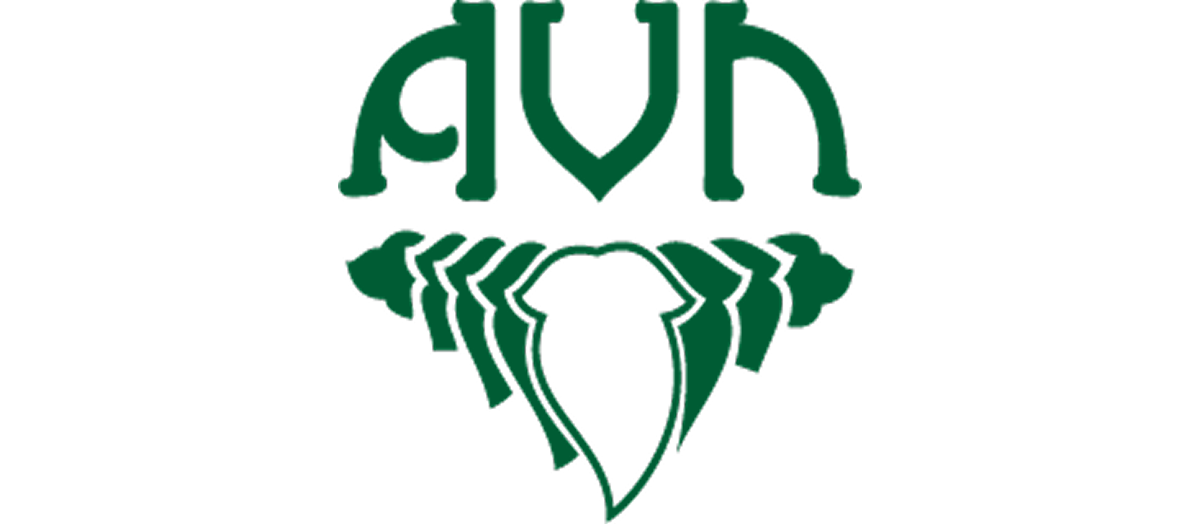 AVN Ayurveda